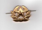 Vintage Russian Military Badge Army Ussr Soviet Red Star Hat Pin