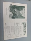 1902 Denver Rio Grande Rr Railroad Railway Menu Lunch Wine 