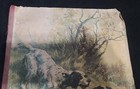 Vintage Antique Ephemera Scrap Book Dogs Birds Deer Hunting 1940 s