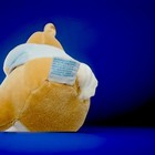 Eden Plush Peter Rabbit Blue Coat Carrot Beatrix Potter Bunny Stuffed Animal