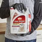 Ortho Home Defense Bug Killer Indoor   Perimeter Spray - Kills Ants  Roaches