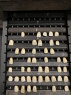 Antique Dental Prosthetic Tooth Sample Cabinet Dentist Lab Display W Drawers 