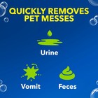Oxiclean Carpet And Rug Cleaner  Pet Stain And Odor Remover Spray  24 Fl Oz