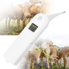 Pet Thermometer  Veterinary Electronic Pigs Cattle Sheep Dog Digital Aquarium An