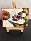 Aceo Print 2 5x3 5    Bumble Bee Lounging On Daisy Flower Art Signed Leahg777