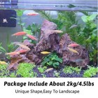 Dragon Stone Ohko Rock Natural Aquarium Rocks Aquascaping 4 5lbs Mixed Sizes