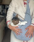 Pet Sling Carrier Bag Dog Cat Crossbody Shoulder Bag Outdoor Travel Portable Gra