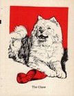 1940 Antique Chow Chow Print Vintage Diana Thorne Chow Illustration 6558a