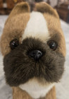 Yomiko Collection  Russ Berrie 8  Plush Toy  Tan Dog terrier-7881 stuffed Animal