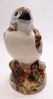 Pretty Bird  Babbacombe Blp Pottery England   Carolina Wren Pie Bird Vent funnel