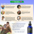Dog Flea Treatment - Kills Fleas  Parasites  No Sting Spray - Dogs Love It 16 Oz