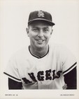 Lot Of 31 Diff 1962 Los Angeles Angels 8x10 Team Issued Photos