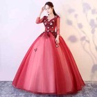 Ball Gown Women Evening Dresses Appliques Tulle Prom Birthday Party Gowns Formal
