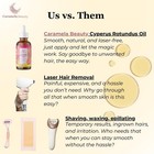 Cyperus Rotundus Oil - 60ml Natural Cyperus Rotundus Oil For Hair Removal  Mo   