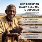Purely Ethiopian Black Seed Oil Capsules  Purely Nutrient Ethiopian Black Seed O
