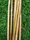 Rattan Cane Sticks 3pcs - Flexible  Natural  0 6-0 8 Cm Diameter  40  Length