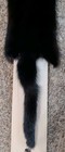Nice Large Black Mink Fresh Tanned Hide Soft Leather Craft Pelt Fur 
