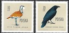 Poland Scott 935-946 Birds Vf Mint Never Hinged 1960