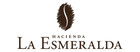 Panama Hacienda La Esmeralda Coffee  1 Lb   100  Geisha Coffee  Roasted Or Green