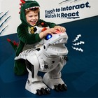Ruko 8809 Remote Control Robot Dinosaur Toys For Kids  Large Rechargeable Toys 