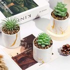 Der Rose 4 Pack Mini Fake Succulents  Assorted Colors   Number_of_itemss 