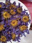 30g Blue Lotus Flower  nymphaea Caerulea  Dried Organic Flowers Egyptian Tea