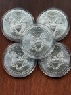  5  Silver Eagles Bu 1oz  999 Random Year 2014  2016 Us Coins With Capsules