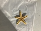 Natural Starfish 4-6 Inch Starfish
