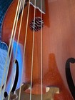 Bass Viola Da Gamba -- All Gut  Lively  Resonant Sound  