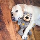 Kong Wild Knots Bear Medium Large Tan Dog Toy Soft Durable Squeaky Plush