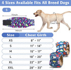 5 Pack Dog Diapers Male Reusable  Premium Belly Bands For Male Dogs  High Absorb
