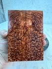 Stabilized Redwood Lace Burl Knife Scales   Oversized   Srw 820