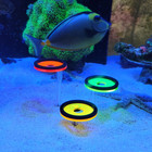 Coral Frag Rack Fluorescent Coral Frag Plug Sand Holder Marine Reef Aquarium Sp