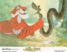 Disney s The Jungle Book Lobby Cards - British Set Of 8 Stills - Rudyard Kipling