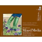 Strathmore Mixed Media Vellum Paper Pad 18 x24  15 Sheets