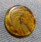 Antique Bakelite Reverse Carved Button Applejuice Tested 1-3 8  Inch