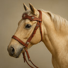 Concho Western Bridle     Headstall With Reins- Ae-hs52