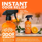 Pet Odor Eliminator For Strong Odor - Citrus Deodorizer For Strong Dog Or Cat Pe