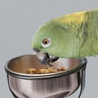Kaytee Ez Care Pet Bird T Stand 25 dx54 h Medium Black small And Medium Birds 