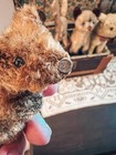 Vintage Steiff Miniature Teddy 3 5 Mohair Bear With Button