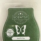 Scentsy Wax Bar Melts Just Fir You  3 2 Fl  Oz   Very Hard To Find  Retired New 