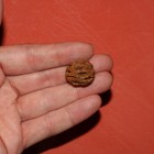 Meta Sequoia Pine Cone Fossil - Hell Creek Formation Cretaceous Discovered 2019