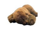 24  Applause Avanti Limited Edition Brown Polar Bear Stuffed Plush Animal 1989