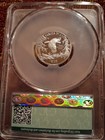 1999-w Platinum Eagle P 25 Dcam  proof 