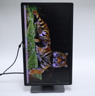 Dell P2412hb 24  Ips Led Computer Monitor Hd 1080p With Vga   Power Cable