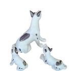 Bone China Figurines Harlequin Great Dane Dog And Puppies Vintage Japan