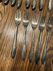 Vintage 1847 Rogers Bros Springtime Reed Barton Silverware Flatware 64 Pieces