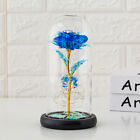 Eternal Forever Romantic Rose Flower In Glass Dome Led Light Mother s Day Gift