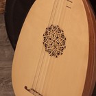 Roosebeck 6-course Lute Sheesham