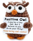 Crochet Owl Plush  Emotional Support Stuffed Animal For Desk Decor   Handmade   